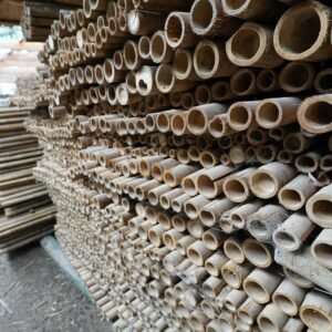 Cañas